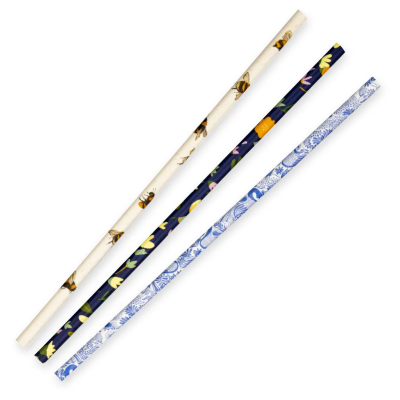 6mm Regular Art Series BioStraw - 250pcs